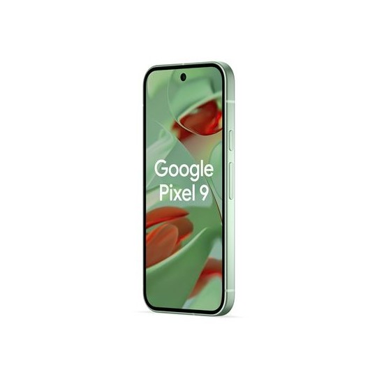 Google Pixel 9 128 Go Vert